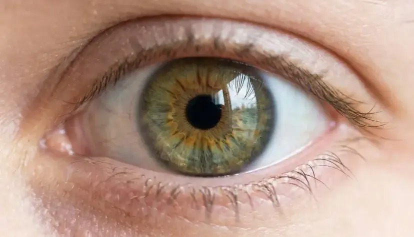 خاموش‌کردن موقت بینایی؛ رویکردی نویدبخش برای درمان تنبلی چشم در بزرگسالان