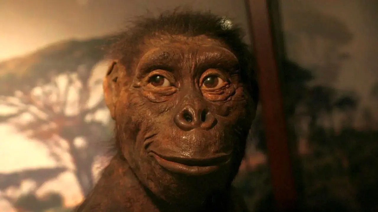 یکی از قدیمی‌ترین اجداد انسان؛ «لوسی» چه رازهایی از تکامل انسان را فاش می‌کند؟