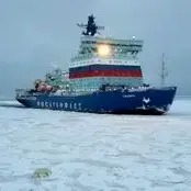 خرس قطبی برای پیدا کردن غذا، سوار زیردریایی هسته‌ای روسیه شد!