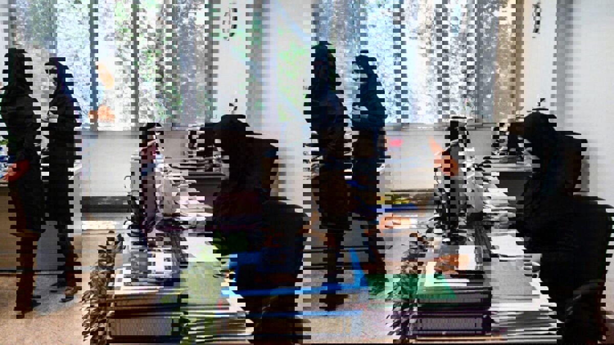 تعداد کارمندان دانشگاه ۲ برابر اساتید؛ ضرورت اصلاح ساختار اداری