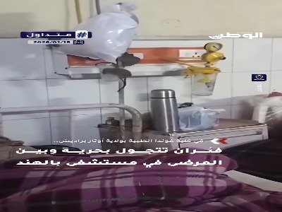 ویدئوی تکان‌دهنده از هجوم موش‌ها به بخش ارتوپدی یک بیمارستان در هند