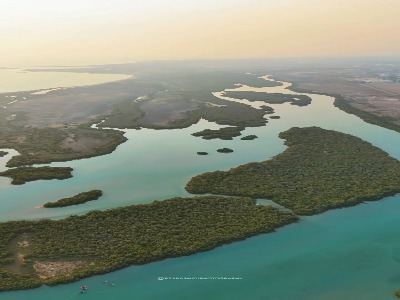 جنگل حرا عسلویه