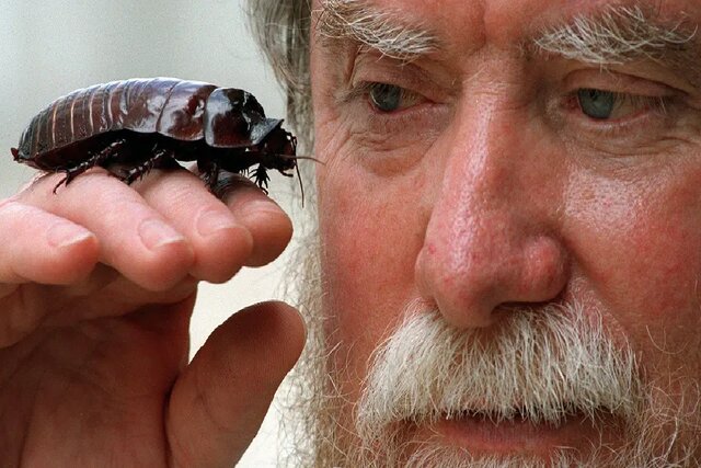 ایران پرسمان