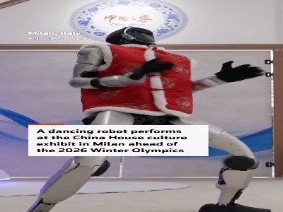 حرکات موزون ربات چینی