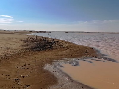 کویر زیبای خیرآباد⁩ پس از باران زمستانی