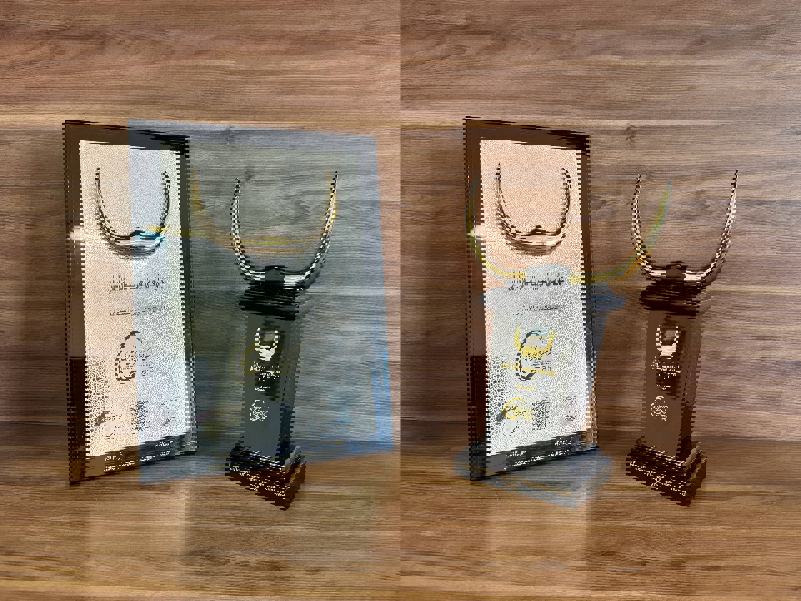 تندیس زرین «جایزه ملی مدیریت مالی ایران» به شرکت صنایع پتروشیمی خلیج‌فارس رسید