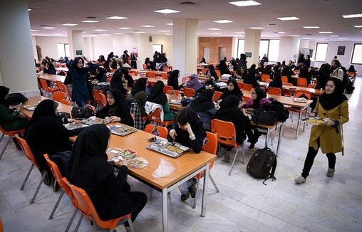 حذف ارز ترجیحی هزینه تغذیه دانشجویی را به ۵۰ همت افزایش داد