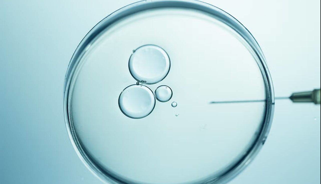 کشف لقاح مصنوعی؛ وقتی چُرت یک مادر، زندگی میلیون‌ها نفر را دگرگون کرد