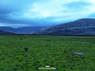 موزۀ زندۀ طبیعت در اندیکای خوزستان