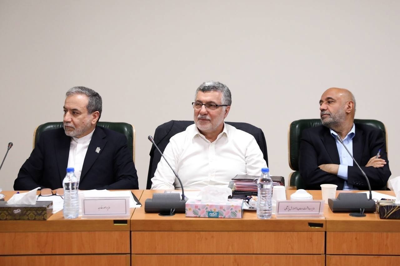 گزارش عراقچی به دولت در مورد مذاکرات با عمان و تماس وزیر خارجه اوکراین