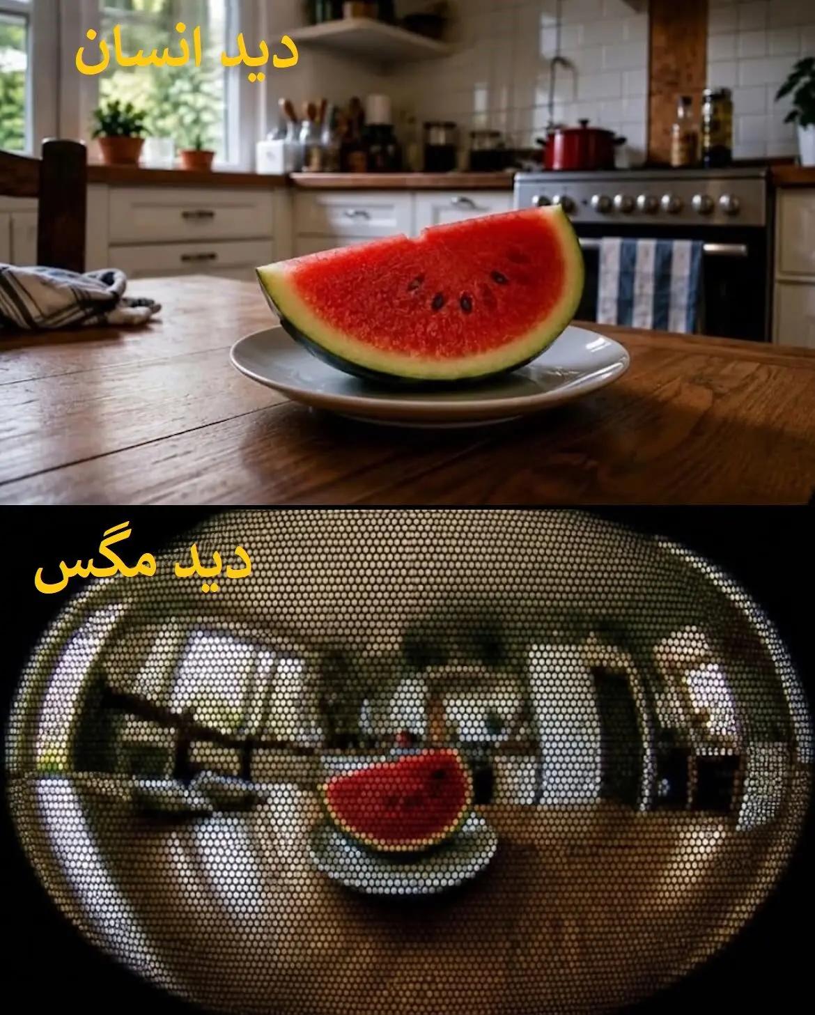 ایران پرسمان