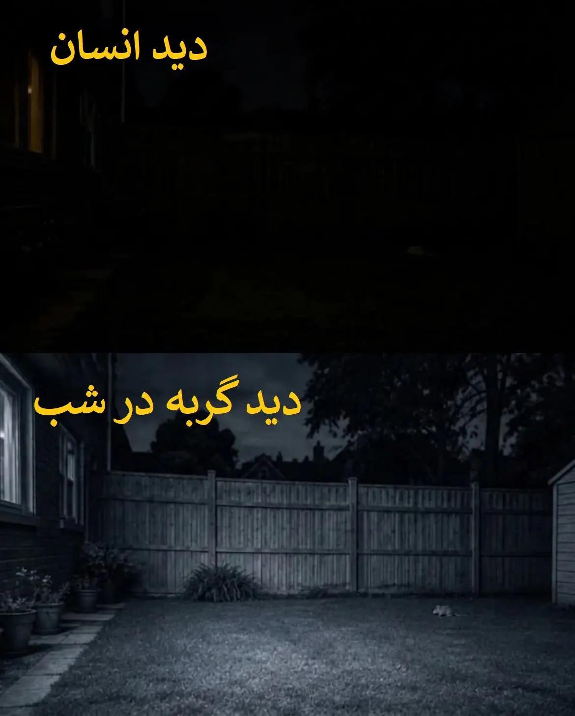 ایران پرسمان