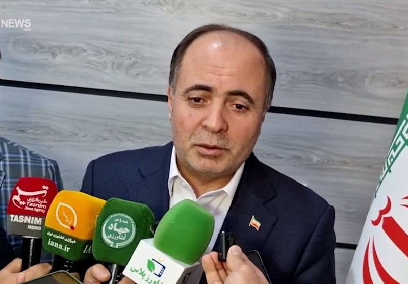وزیر جهاد کشاورزی: توزیع گوشت بوفالو برای مصارف خانوار ممنوع است