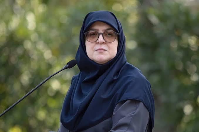 مهاجرانی: فیلترینگ، حکمرانی فضای مجازی را ایجاد نکرد