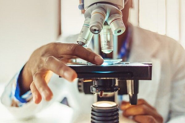 استفاده از قارچ خوراکی برای تبدیل پسماندهای صنعتی به محصولات باارزش