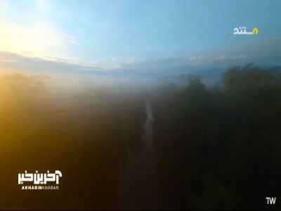وقتی پای زورآزمایی این مارمولک به میان می آید، جثه بزرگتر برنده است!
