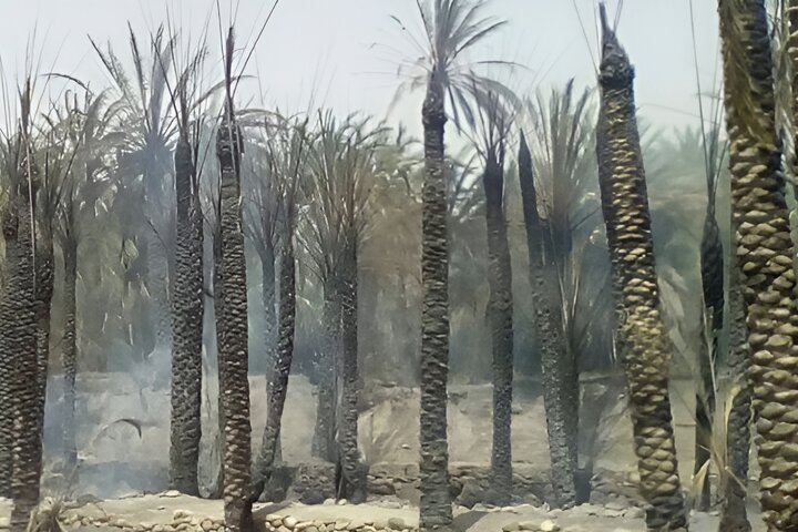 ایران پرسمان