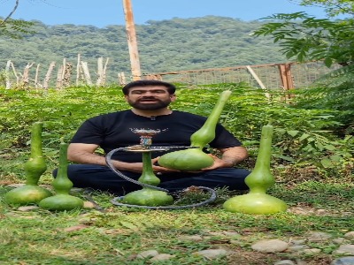 کدو قلیانی، شکل عجیب و جالب دیگری از کدو