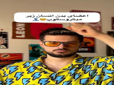 اعضای بدن انسان زیر میکروسکوپ